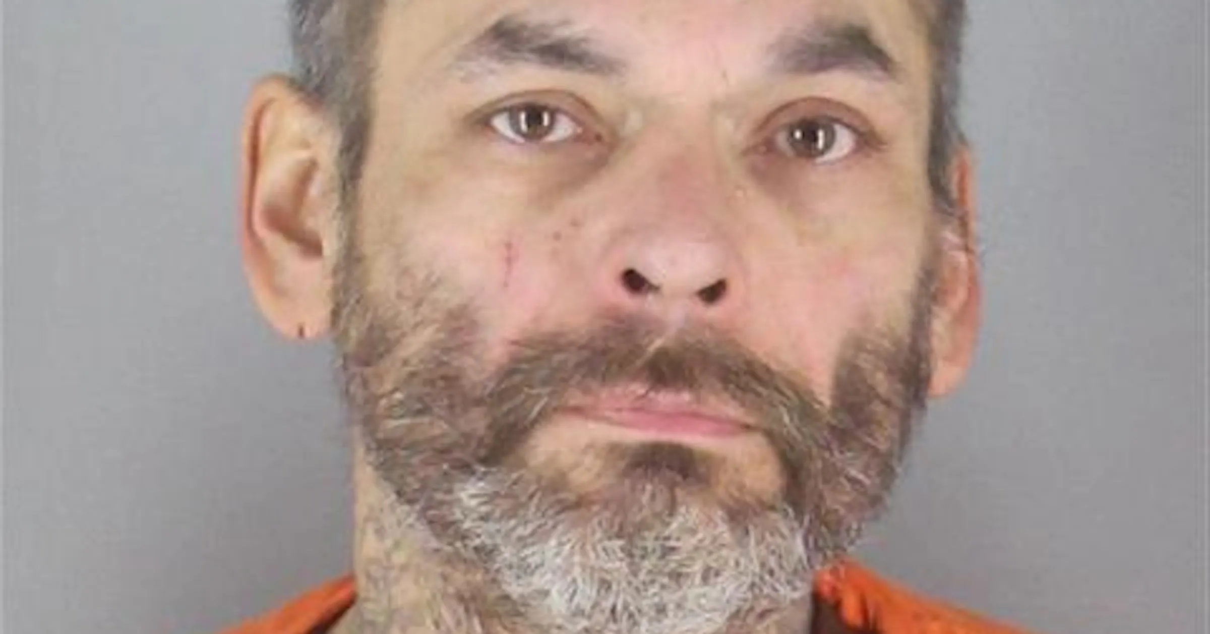 Minnesota Inmate Inmate escaped as he awaited transfer from Hennepin County jail