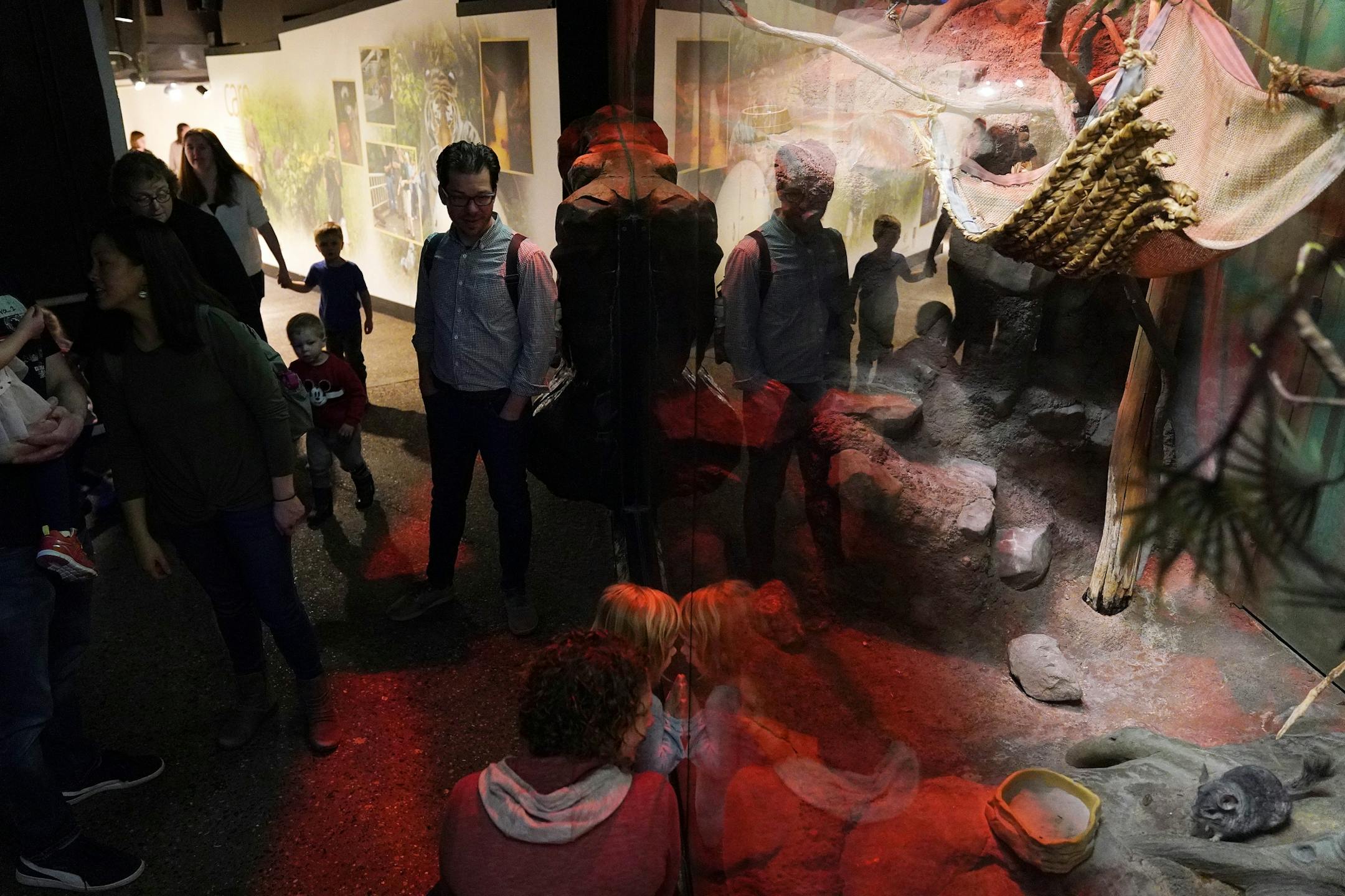 Guests stop to view the Chinchilla in the Tropics Trail exhibit at the Minnesota Zoo.