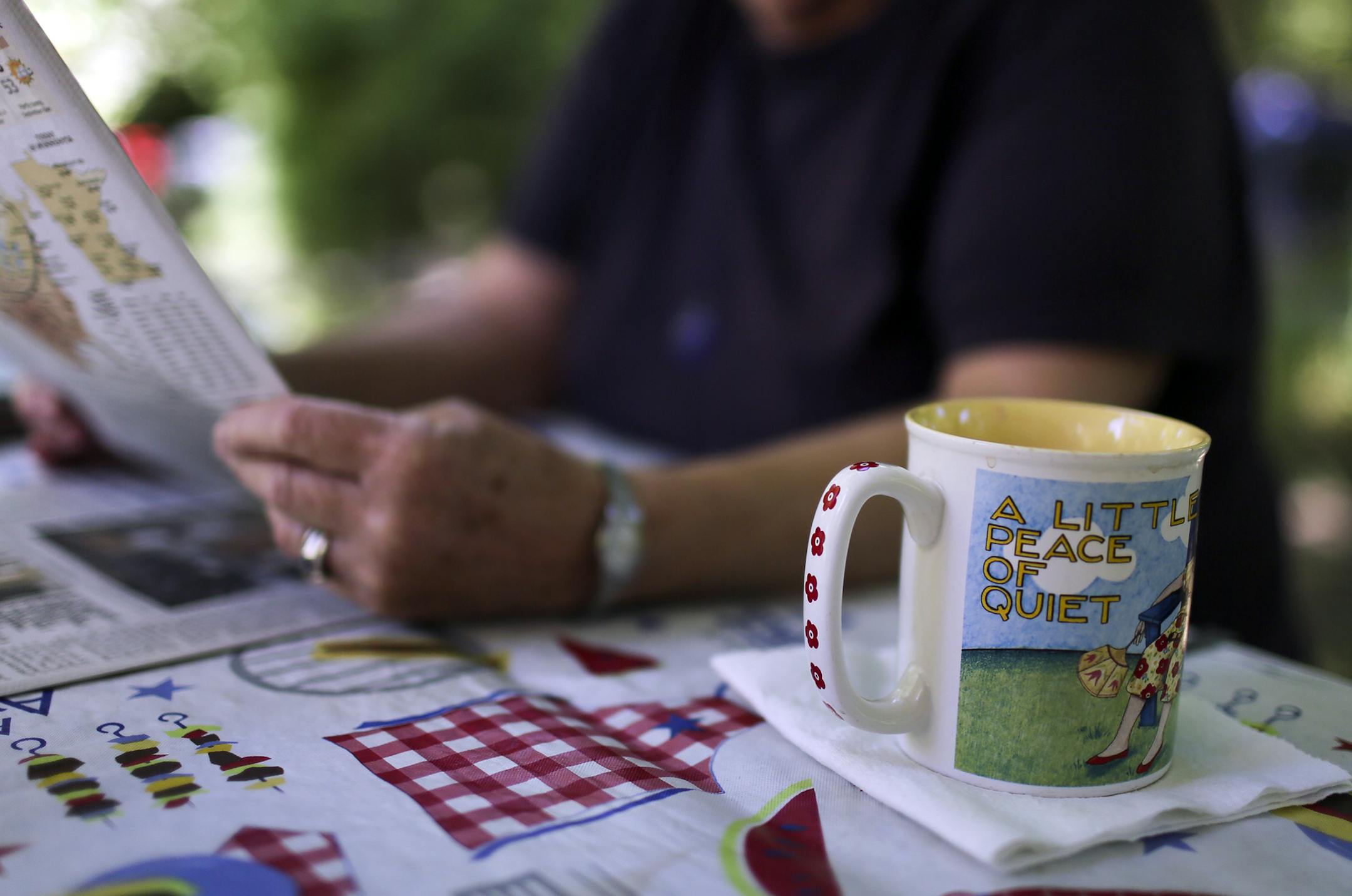 Retired couple Allen and Marge Bjerke of Minnetonka are among the campground hosts at Minnesota State Parks who get to stay in their trailers and RV's for free in exchange for helping campers in a variety of ways. "I walk around and talk to people," Allen said. "That's one of the things I enjoy the most," he said, adding that he and his wife have made life-long friends at the campground as hosts. Being hosts is "our dream come true," he said from the Bjerke's camp site Saturday, Aug. 4, 2013, at