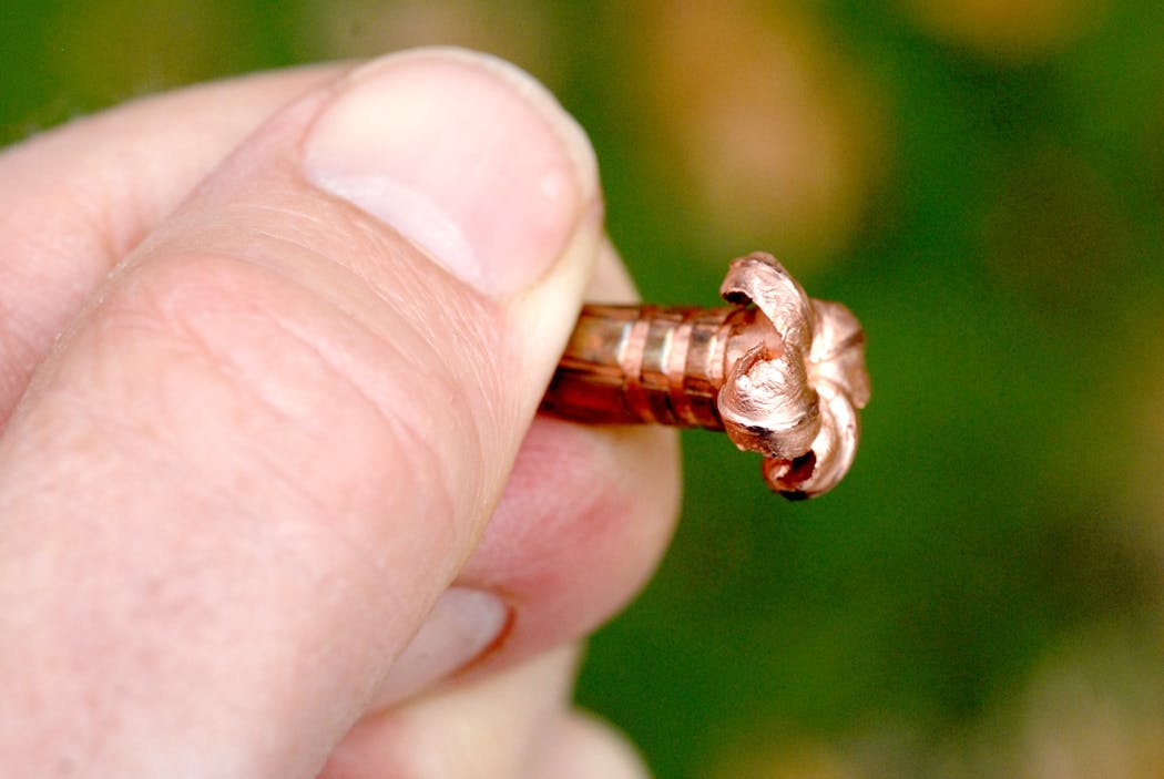 Increasing numbers of deer hunters are “getting the lead out’’ by shooting copper bullets like this one. These bullets retain energy and mass by staying intact and “peeling back,’’ like this one did.