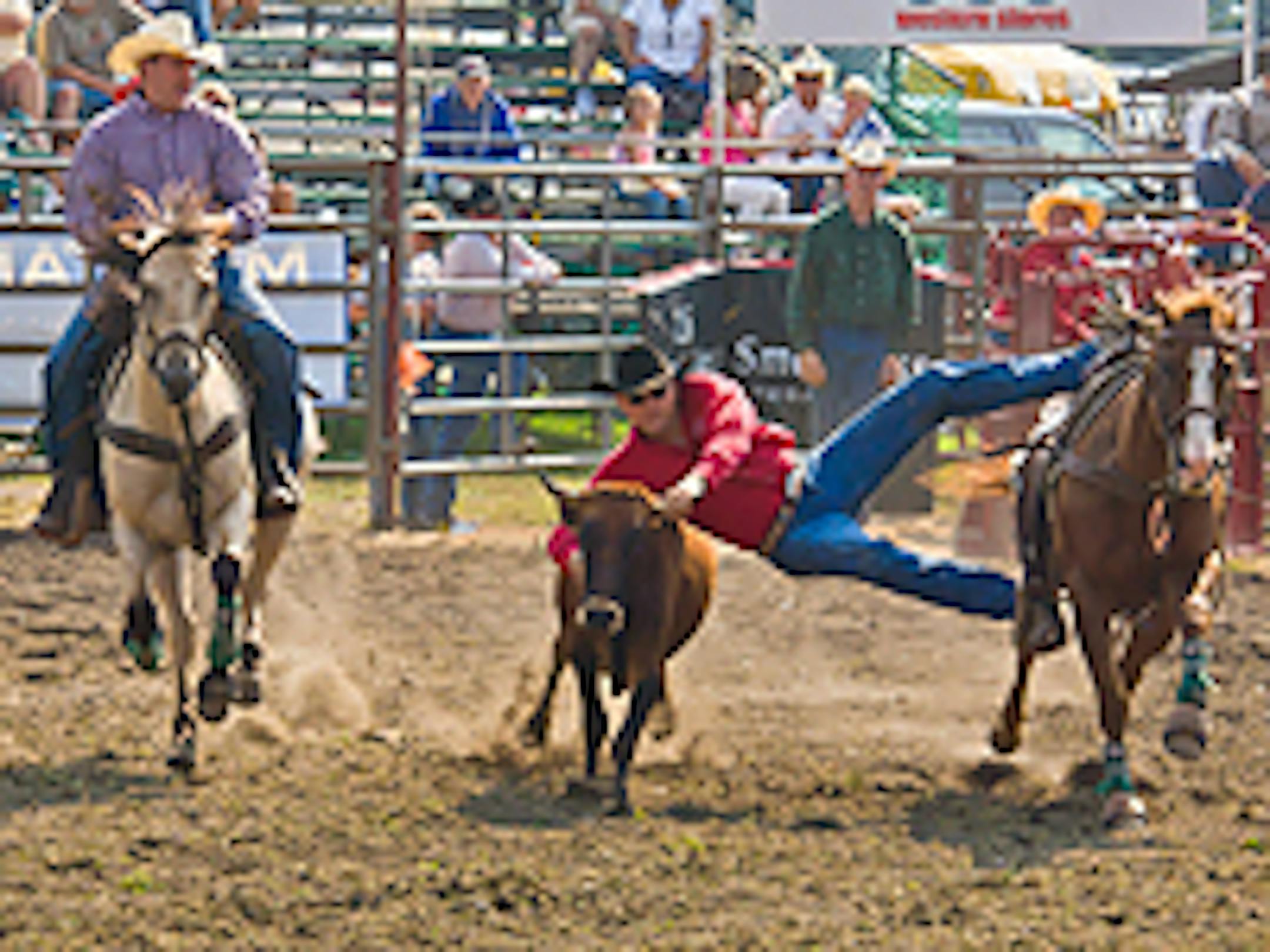 Defeat of Jesse James Days includes a rodeo