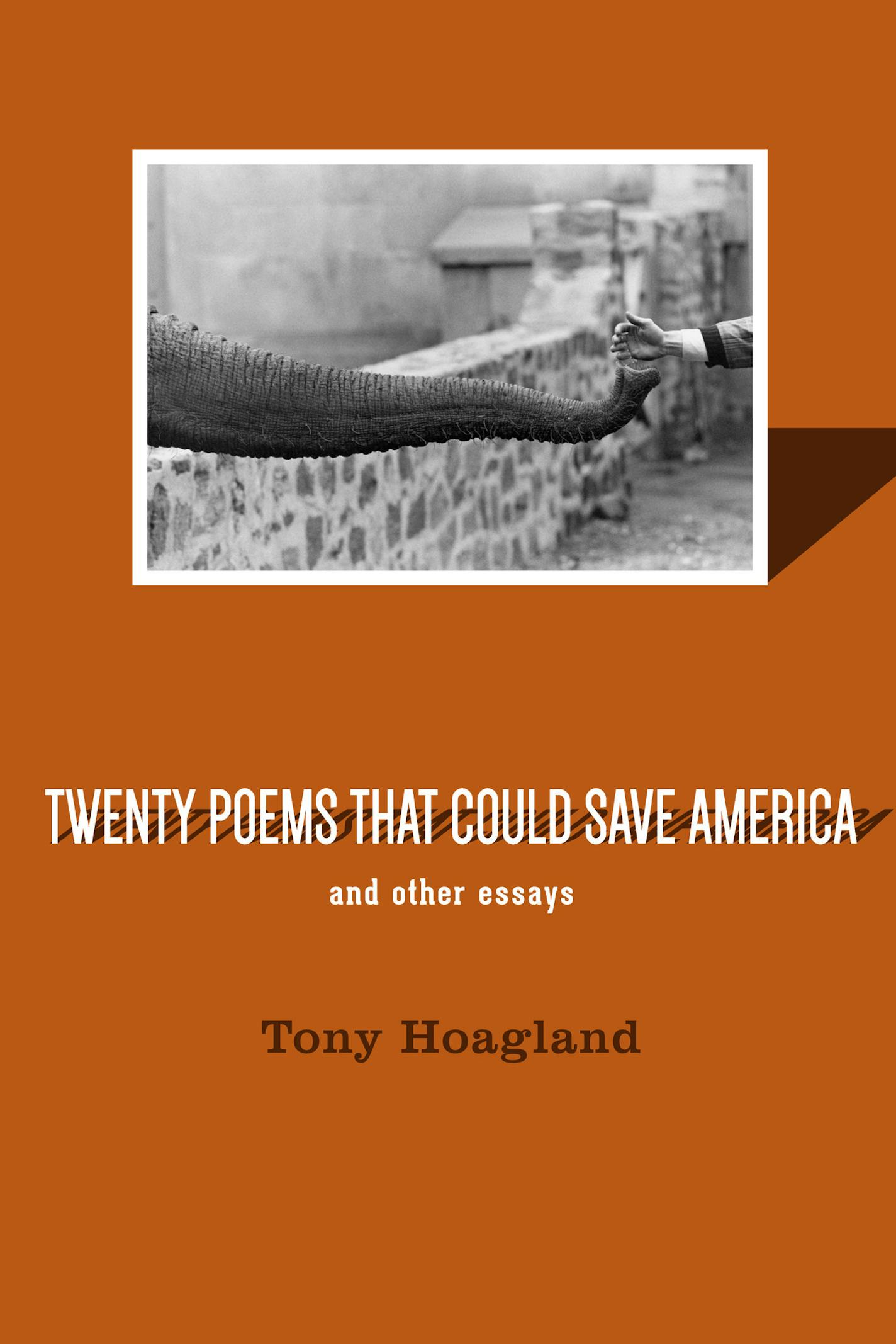 "Twenty Poems that Could Save America, and Other Essays," by Tony Hoagland