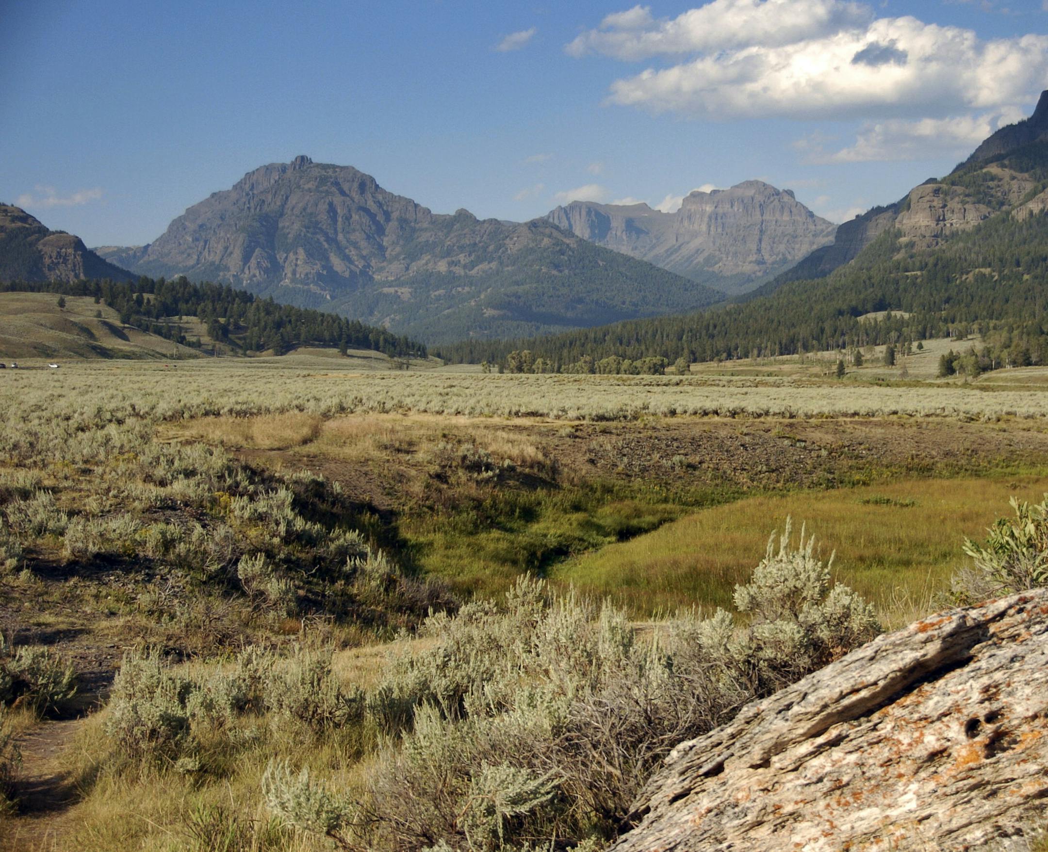 This Aug. 3, 2016 photo shows a view of the mountains surrounding the Lamar Valley in Yellowstone National Park. Bison can appear docile to park visitors but have been known to gore tourists who get too close for photographs. Record visitor numbers at the nation's first national park have transformed its annual summer rush into a sometimes dangerous frenzy, with selfie-taking tourists routinely breaking park rules and getting too close to Yellowstone's storied elk herds, grizzly bears, wolves an