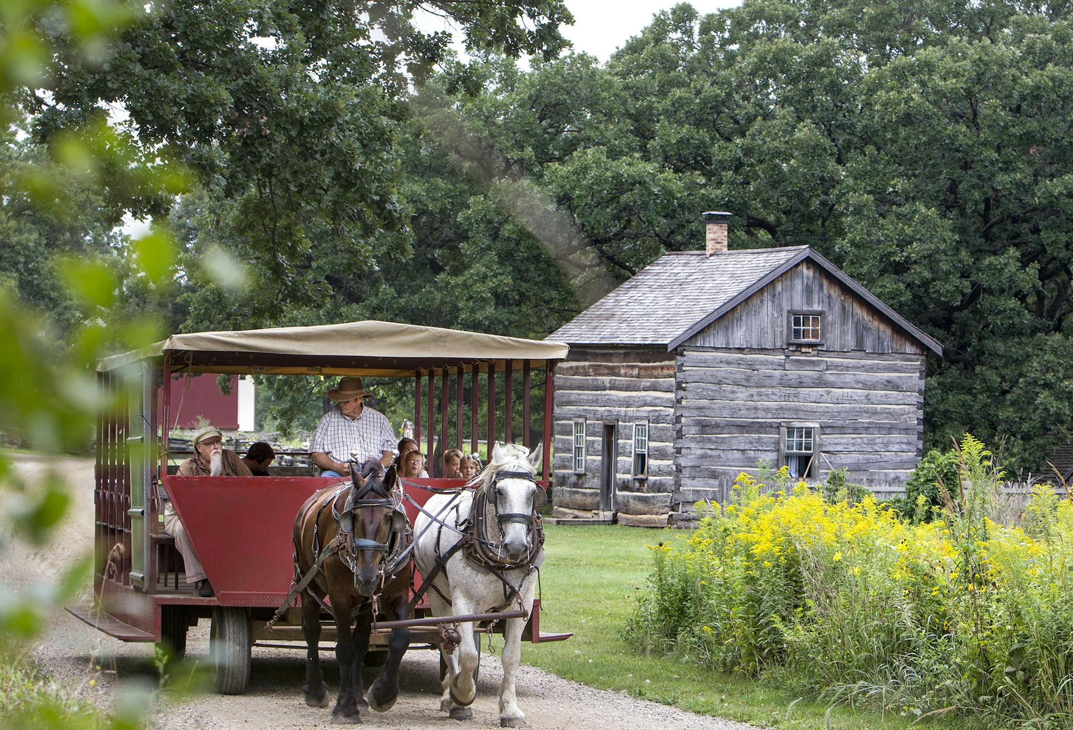 A horse-drawn trolley takes visitors through the 88-acre living history museum that is The Landing – Minnesota River Heritage Park in Shakopee August 23, 2014. (Courtney Perry/Special to the Star Tribune)