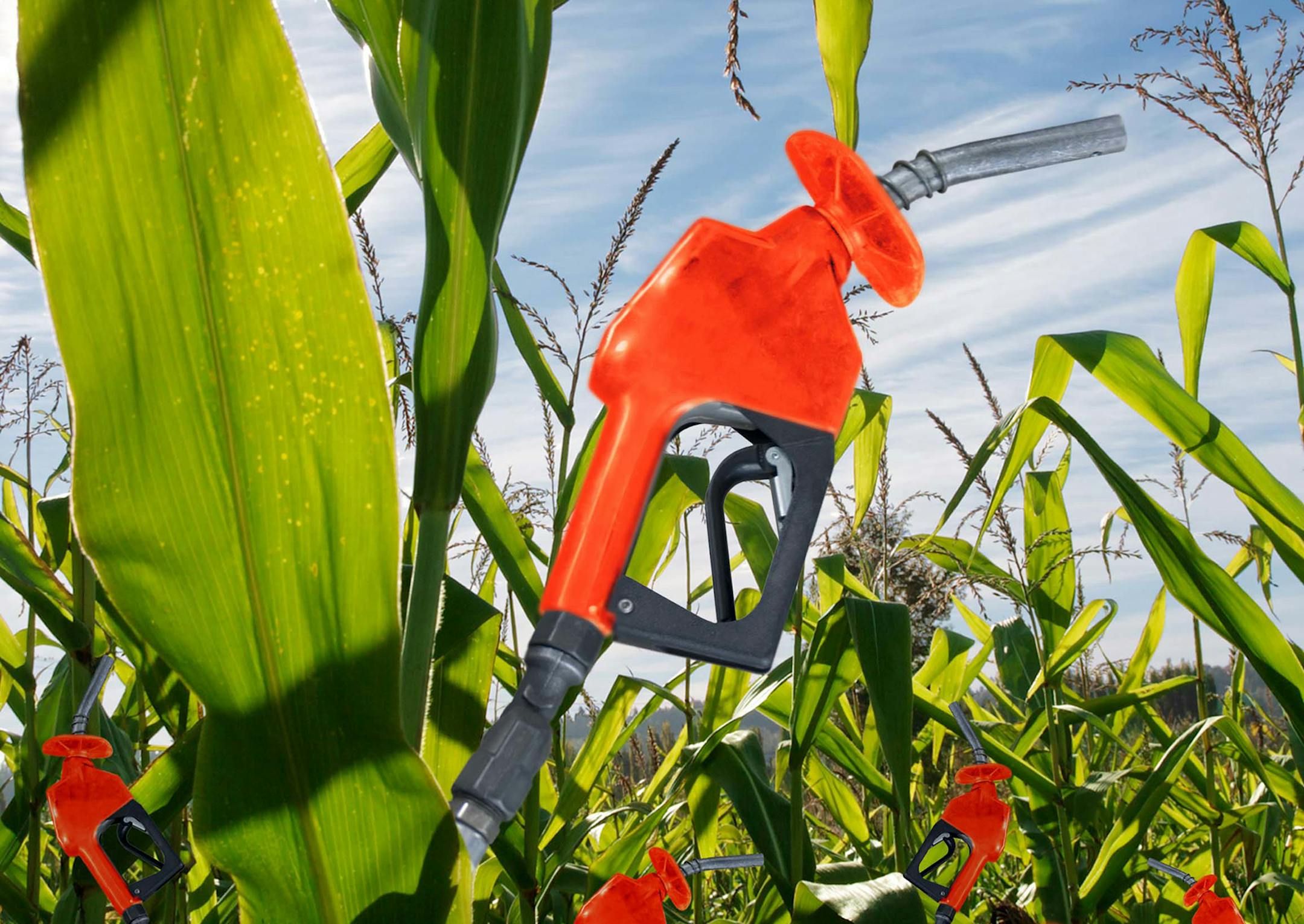 Anita Langemach/Gazette, Colorado Springs/MCT