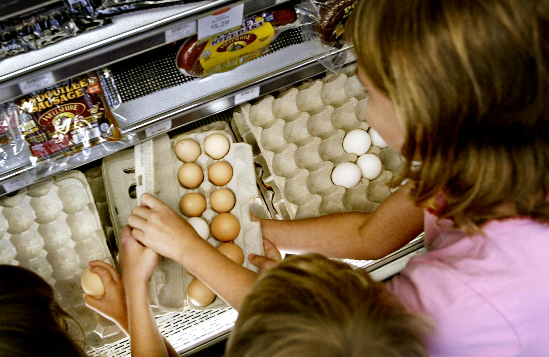 Jeffrey Thompson Ô jthompson@startribune.com Burnsville, MN - August 3, 2006 - Valley Natural Foods<P> <P>Members of the Krenzel family from Farmington fill cartons with eggs at Valley Natural Foods in Burnsville Thursday, Aug. 3, 2006. GENERAL INFORMATION: Business profile of Valley Natural Foods, a co-op in Burnsville that is thriving thanks to the organic foods movement.
