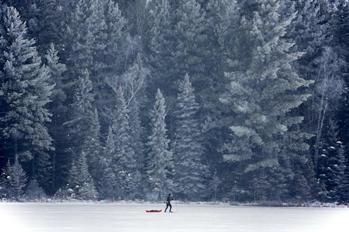 Skiers and snowshoers, like Bill DeZelar here, can enjoy trails nestled into the beautiful Superior National Forest. ] Historic National Forest Lodge BRIAN PETERSON &#x2022; brianp@startribune.com Isabella, MN - 1/17/2015