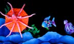 "The Rainbow Fish" at Children's Theatre Company
Provided by Children's Theatre Company