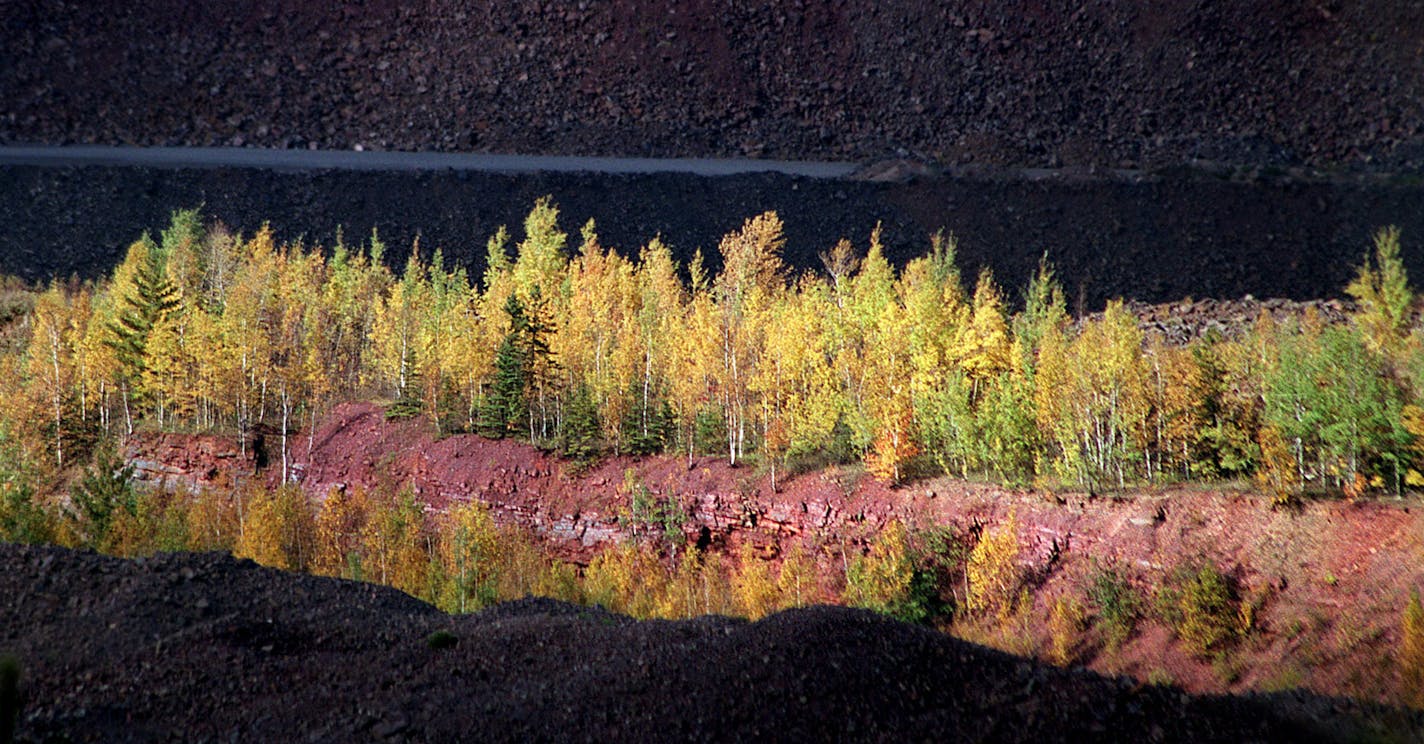 Mountain Iron, MN. Wednesday 9/29/99 - High season for Fall color. -- A strip of ( Aspen?) trees glows bright yellow amidst the dark rust tones of an open pit mine at the MinnTac facility in Mountain Iron. MN ( near Virginia, MN.) ORG XMIT: MIN2015011014013066