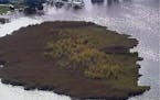 KARE 11 captured this aerial view of the massive bog on North Long Lake, which has been on the move.
