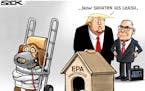 Sack cartoon: Environmental protection under Trump