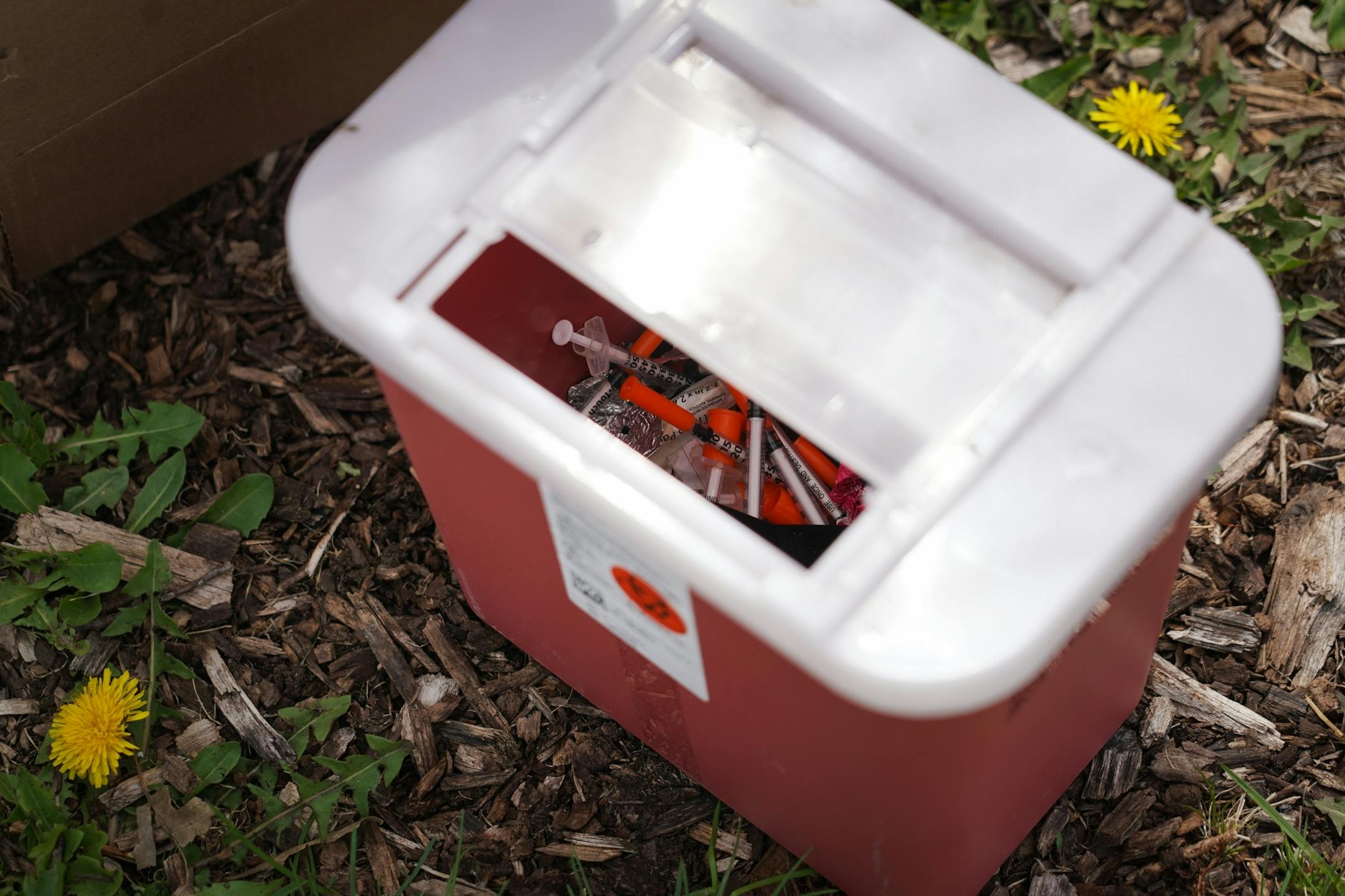 What began in March as a small camp consisting of about a couple dozen homeless adults has now swelled to more than 100 residents in tents. Known as "Camp Quarantine," the fast-growing encampment has raised alarms over the health of the camp residents amid the coronavirus pandemic. In this photo, a bin to collect used needles sat on the ground surrounded by dandelions.