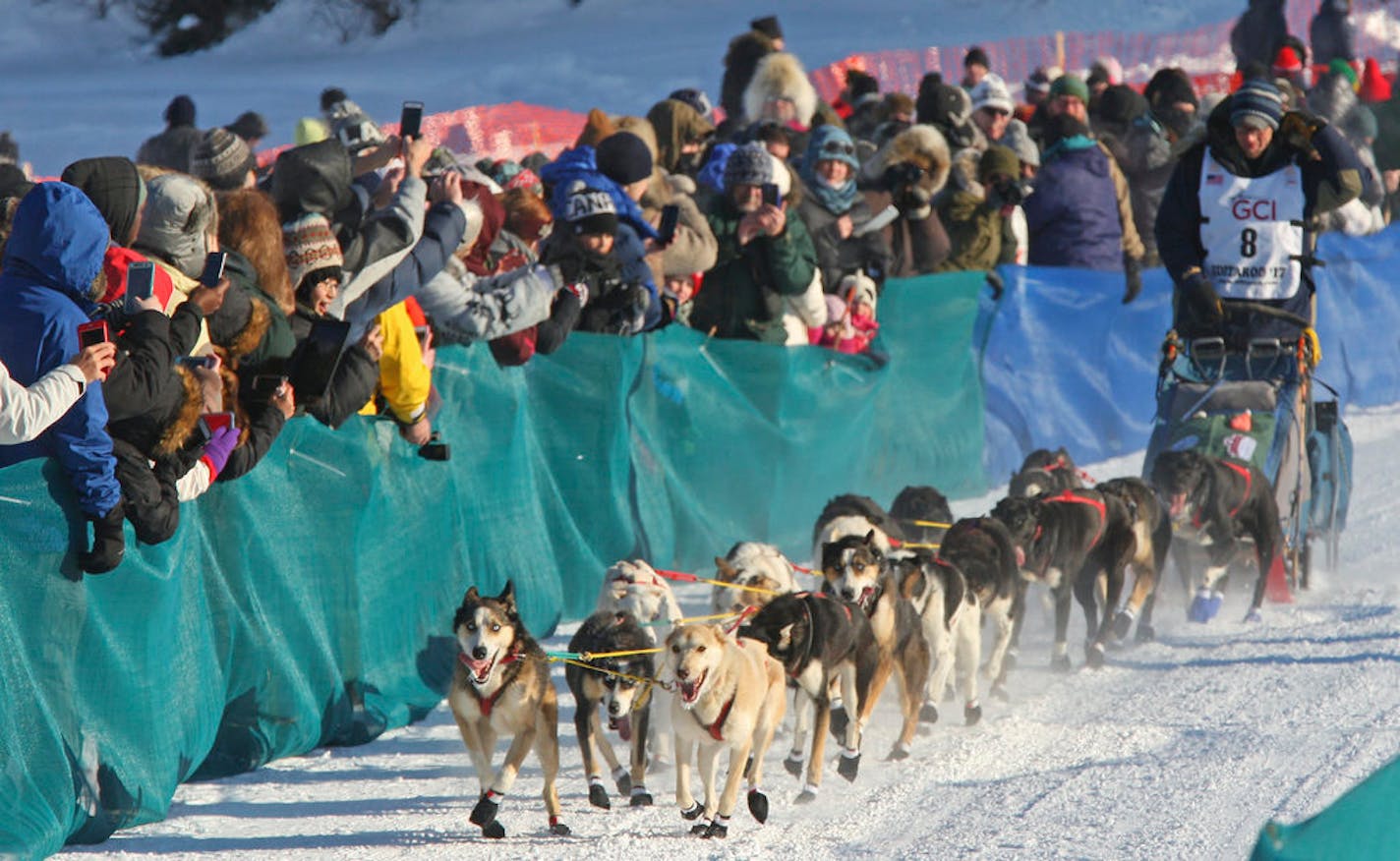 Ryan Anderson of Minnesota drove his team onto the Chena River during the restart of the Iditarod Sled Dog Race in front of Pike's Waterfront Lodge, March 6, 2017 in Fairbanks, Alaska.