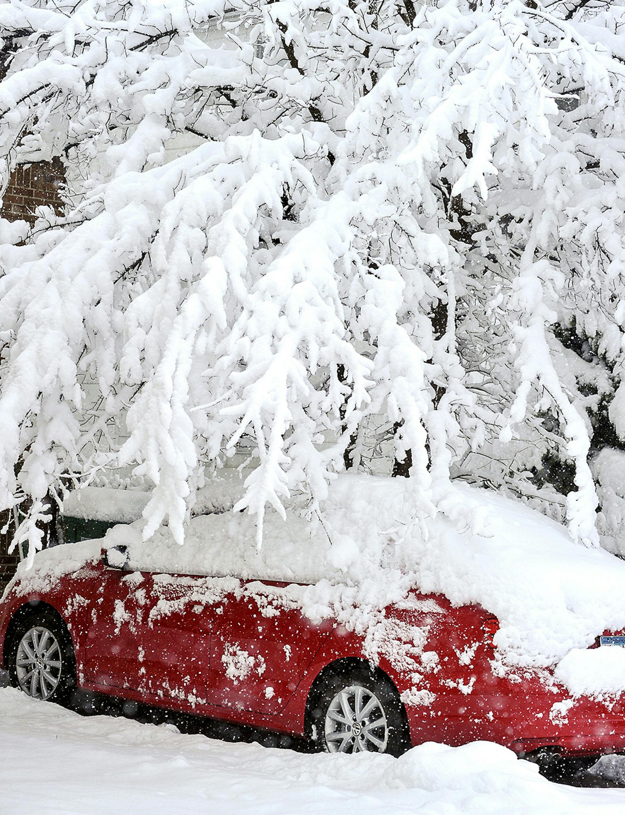 May 2, 2013 Snow-laden tree branches bend over a parked car Thursday morning as the storm responsible for the snowfall moved slowly through the region. Winter made a return appearance in southeastern Minnesota where residents are digging out of more than a foot of new snow. (Associated Press/Austin Daily Herald, Eric Johnson) ORG XMIT: MIN2013050215164663 ORG XMIT: MIN1305021519410176