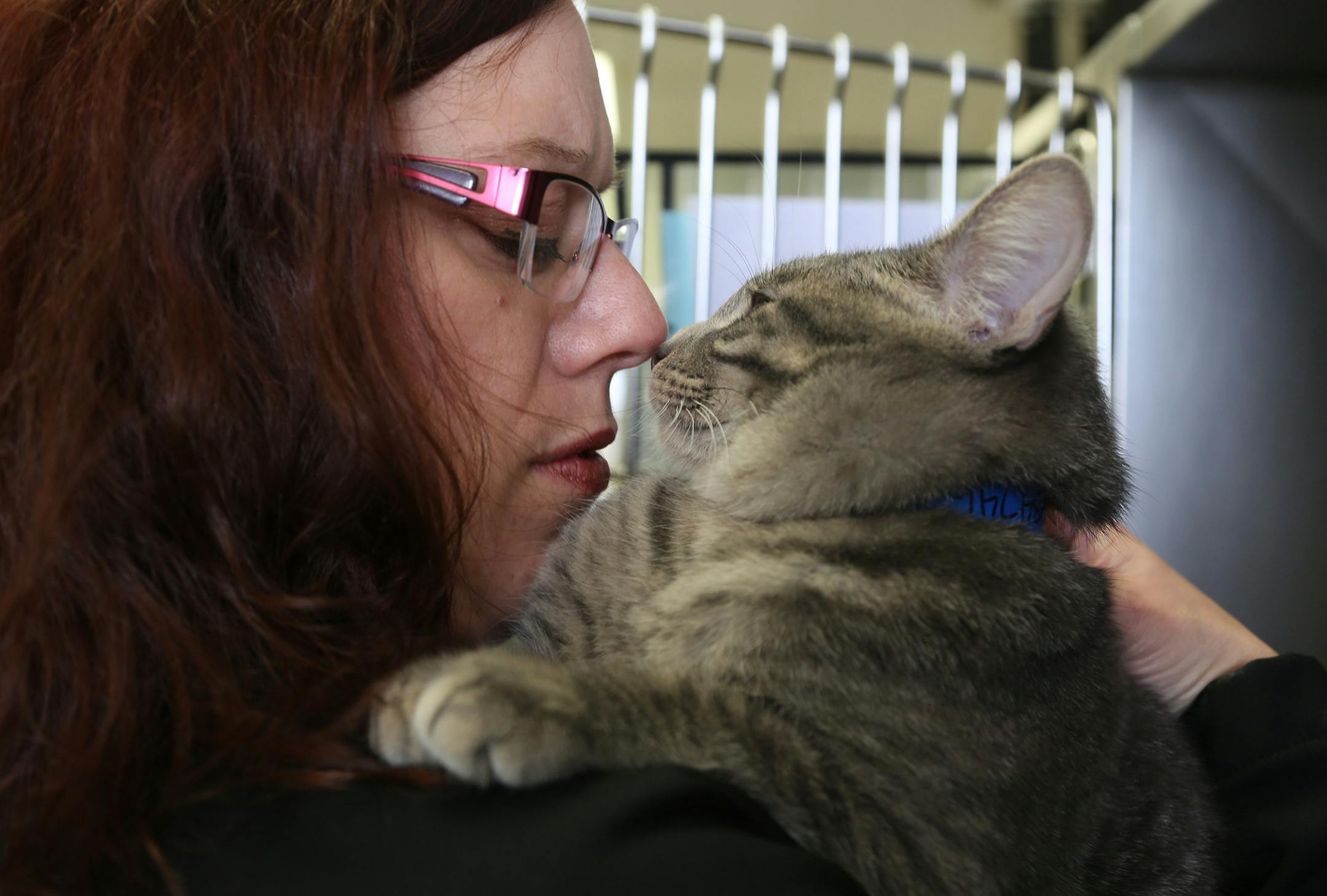 Jeanette Wiedemeier Bower, of Minneapolis Animal Care and Control, played with Mr. Freeze. ] (KYNDELL HARKNESS/STAR TRIBUNE) kyndell.harkness@startribune.com Minneapolis Animal Care and Control in Minneapolis Min., Friday, March 6, 2015.