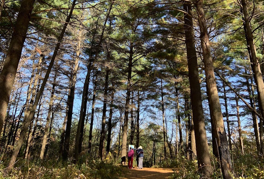 Find a spring hike that fits: From hidden beauties to  family terrain, and more