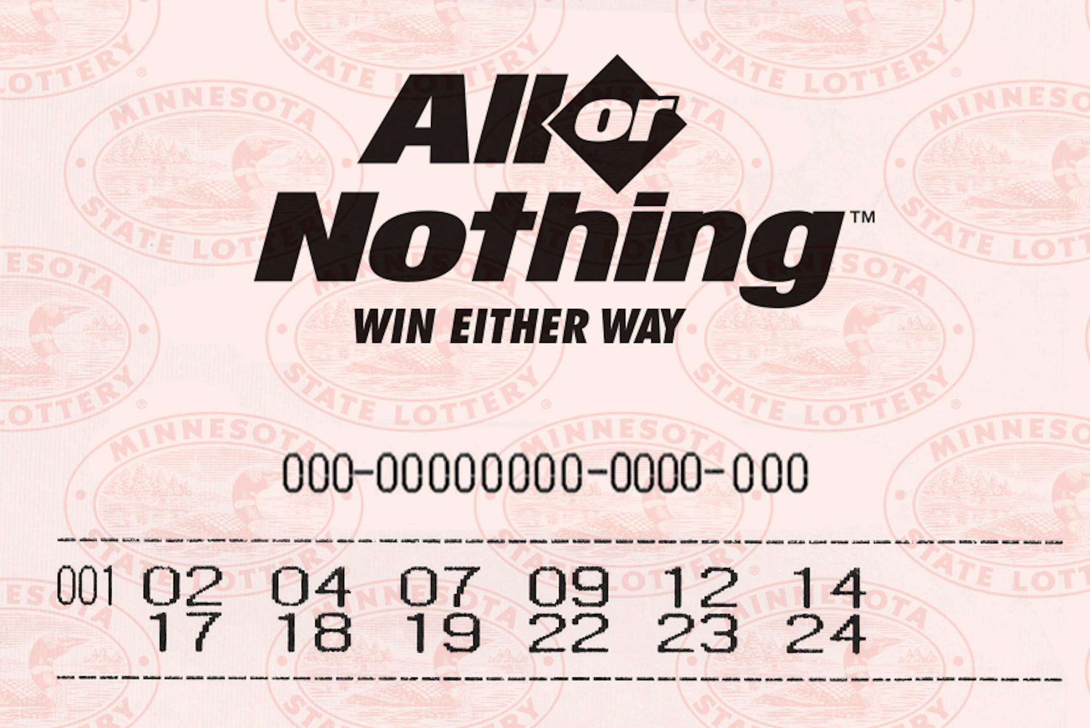 What an "All Or Nothing" ticket in Minnesota will look like.