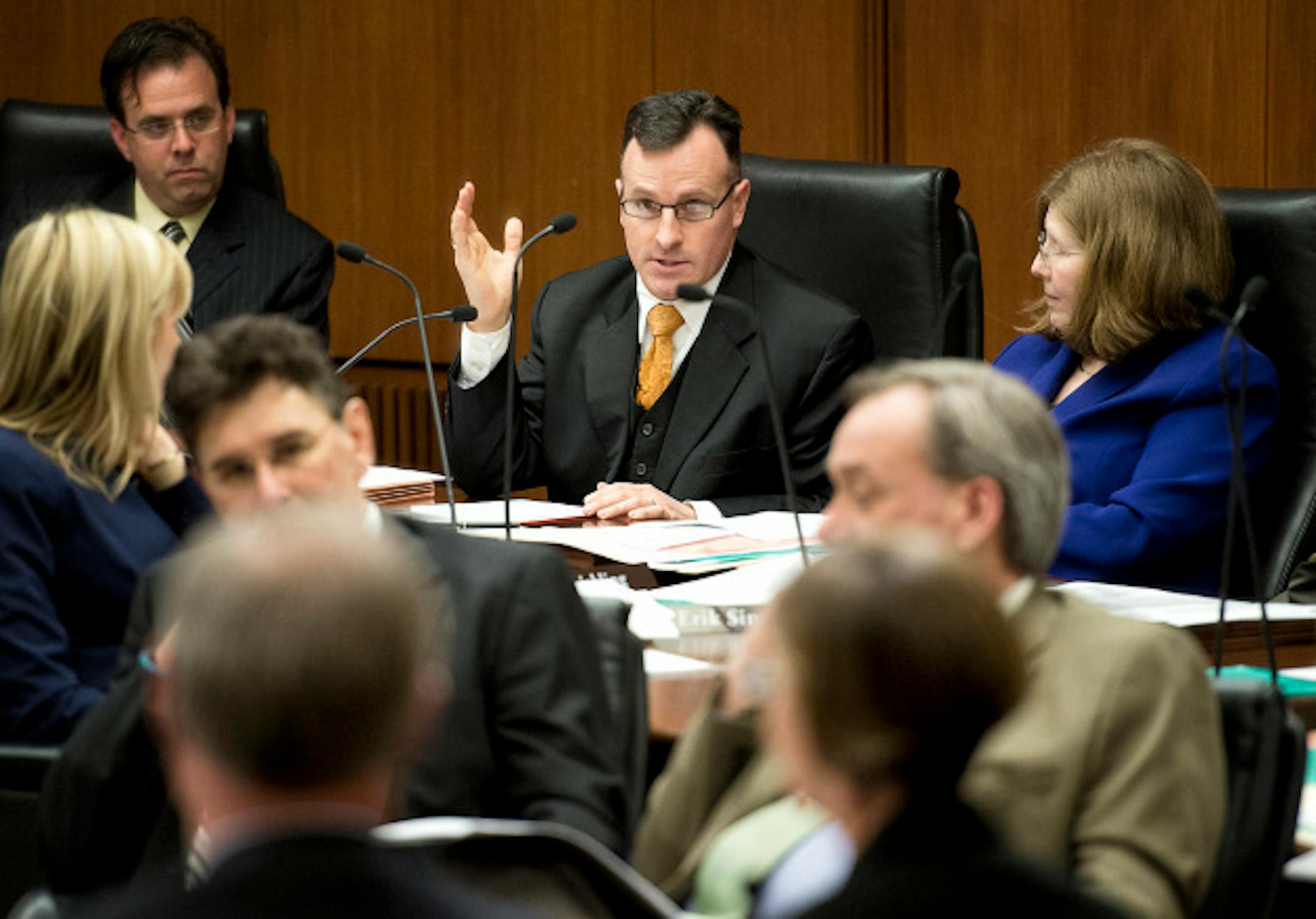 Rep. John Lesch objected to Mayo CEO John Noseworthy's 49-states remark, calling it "dumb, dumb, dumb."   The House Tax Committee discusses expansion plans of the Mayo Clinic as a destination medical center. Wednesday, April 10, 2013       ]   GLEN STUBBE * gstubbe@startribune.com