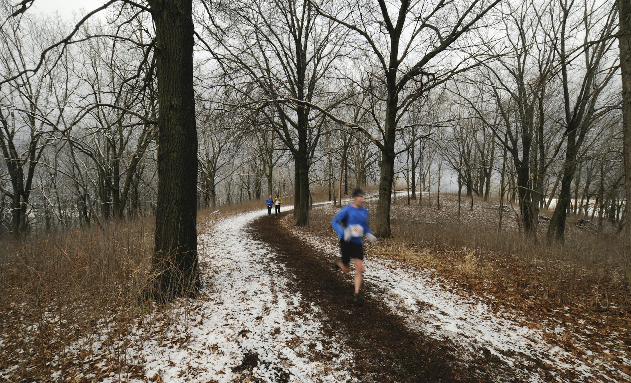 Derek J. Dickinson, Three Rivers Park District