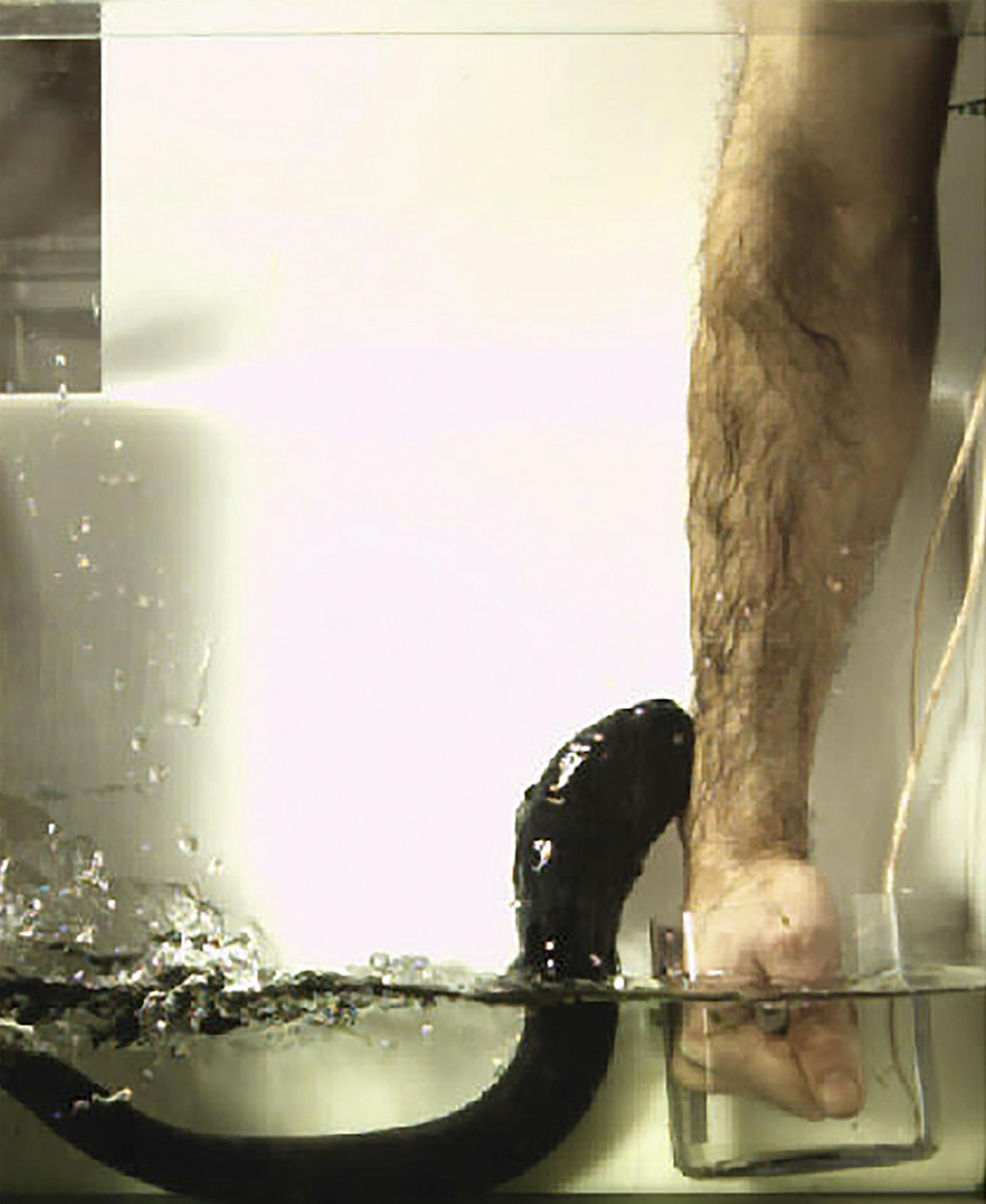In an undated handout photo, Kenneth C. Catania, a biologist at Vanderbilt University, conducts an experiment to get a sense of how big a jolt an electric eel can deliver, by letting it attack his arm. When the eel leapt out of the water and rested its head on Catania’s arm, electricity flowed from the head, to his arm, to the water and back to the eel’s tail. (Kenneth C. Catania via The New York Times) -- NO SALES; FOR EDITORIAL USE ONLY WITH SCI WATCH BY JOANNA KLEIN FOR SEPT. 26