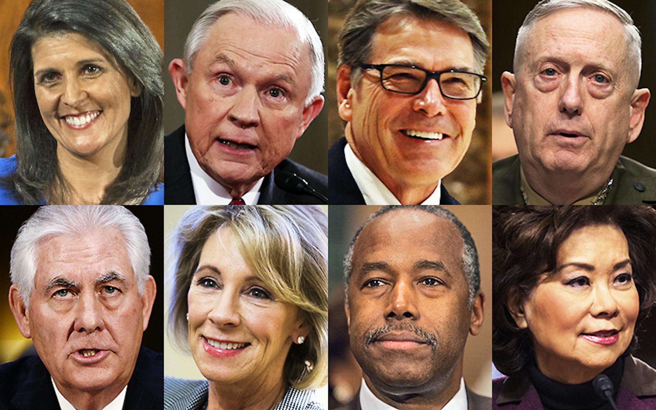 Trump cabinet nominees 2017