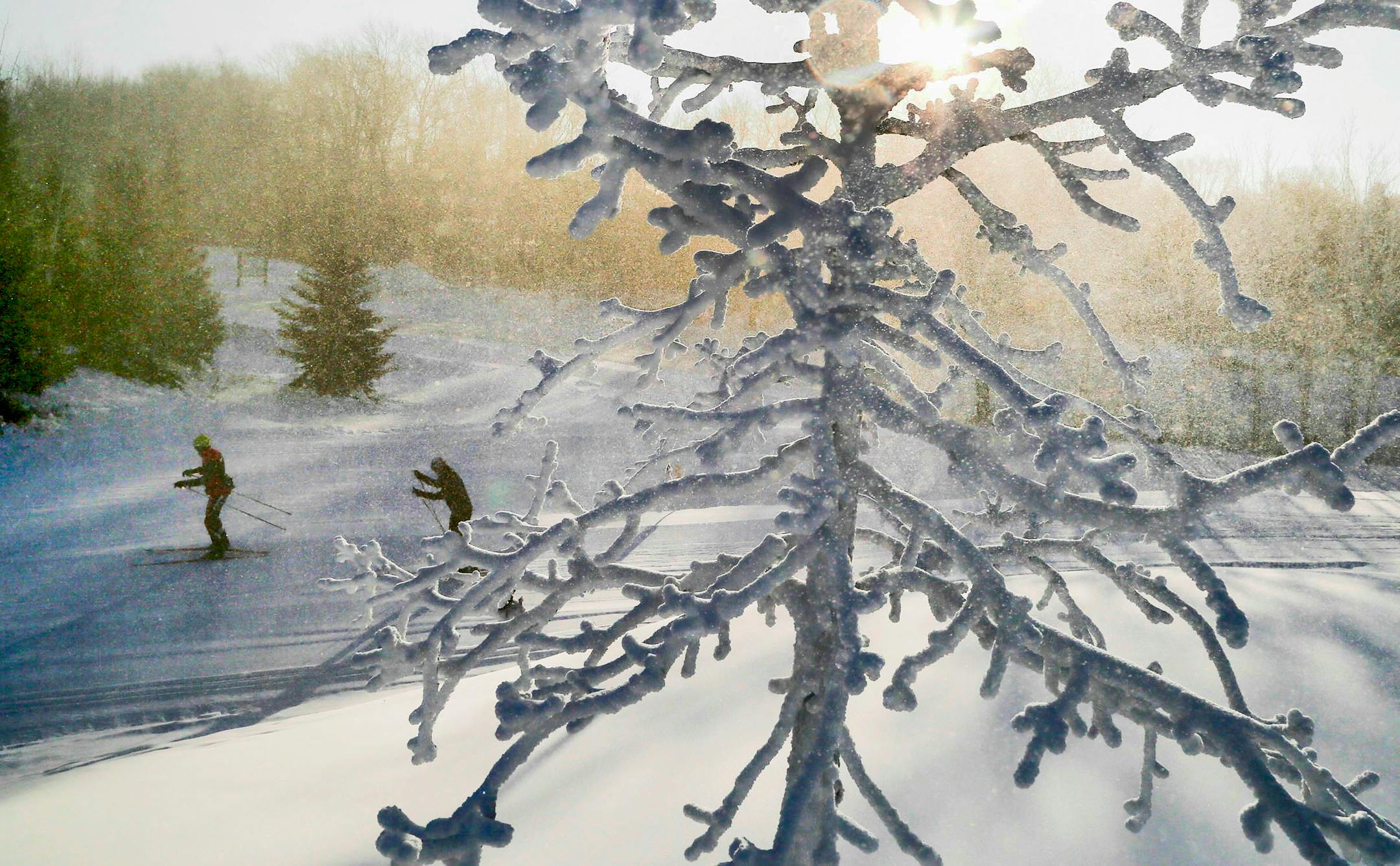 Cross country skiers at Elm Creek Park Reserve.