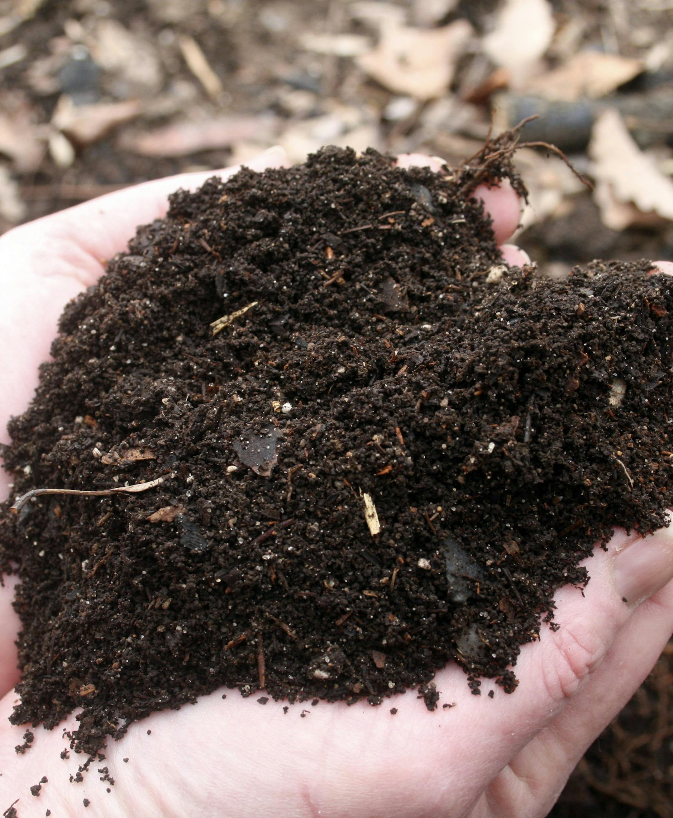 **FOR USE WITH AP LIFESTYLES** Homemade compost is seen Sunday, March 8, 2009 in New Market, Va. Compost or "brown gold" is the product of decomposed green kitchen scraps, yard litter and garden wastes. It becomes a nutrient-rich soil amendment when livestock and poultry manures are added. No-till gardeners spread a deep layer of mulch over the home-made compost to enrich and safeguard surface soils. (AP Photo/Dean Fosdick) ORG XMIT: MIN2013050314500447