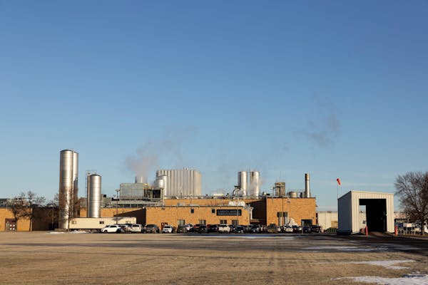 The Land O'Lakes dairy plant in Melrose, Minn., runs 24/7 and produces more than 300,000 pounds of cheese daily.