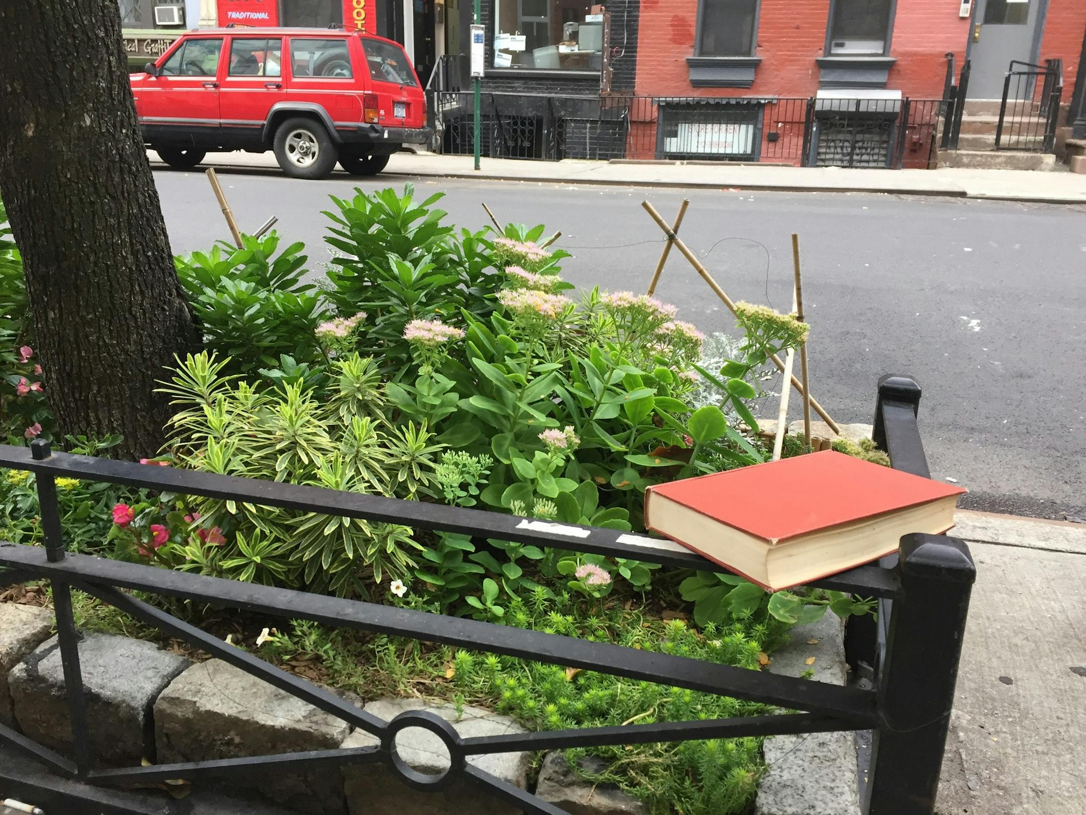 A book in the wild along St. Marks Place in New York City. Sept. 2017.