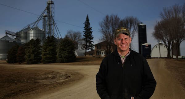 Bruce Peterson, who grows corn and soybeans near Northfield and is president of the Minnesota Corn Growers Association, said that catching a break wit