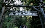 The entrance to the Muir Woods National Monument in Marin County, Calif.