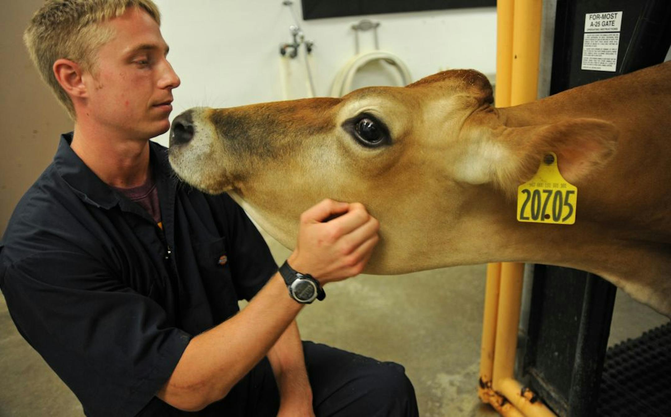 Joe Armstrong of St Louis Park is a U of M vet student.