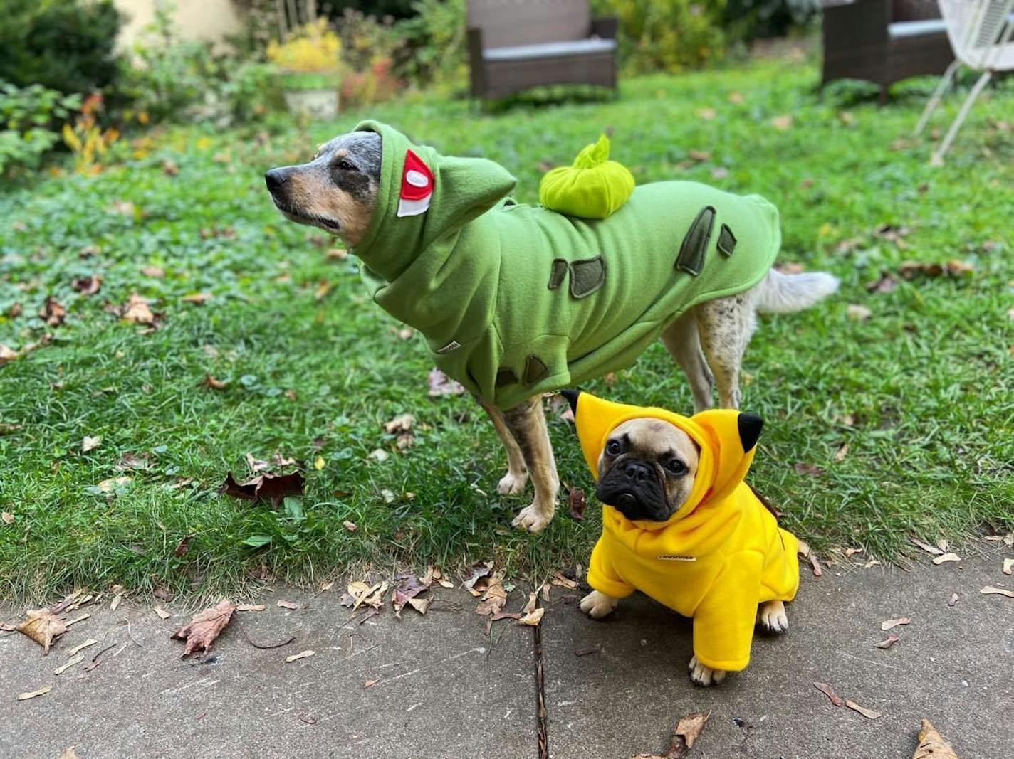 Cante and Gigi are Pokémon characters in this submission by Sasha Houston Brown of Minneapolis.