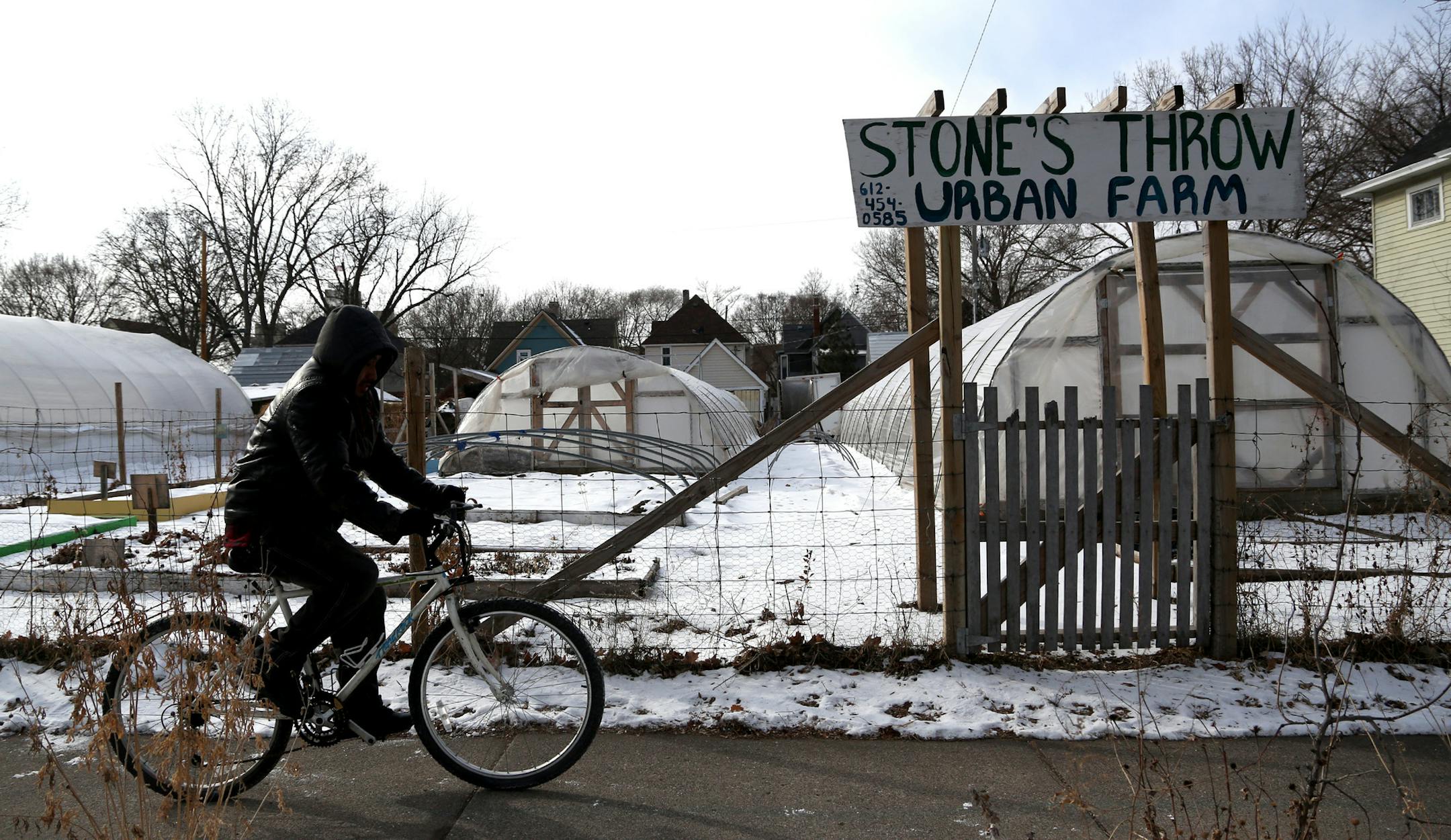 A cyclist rode by one of the greenhouses at Stone's Throw Urban Farm. ] (KYNDELL HARKNESS/STAR TRIBUNE) kyndell.harkness@startribune.com At Stone's Throw Urban Farm in Minneapolis, Min., Wednesday, February 18, 2015. This is a Jacobson column about urban farming being a vital, legitimate land use according to advocates.
