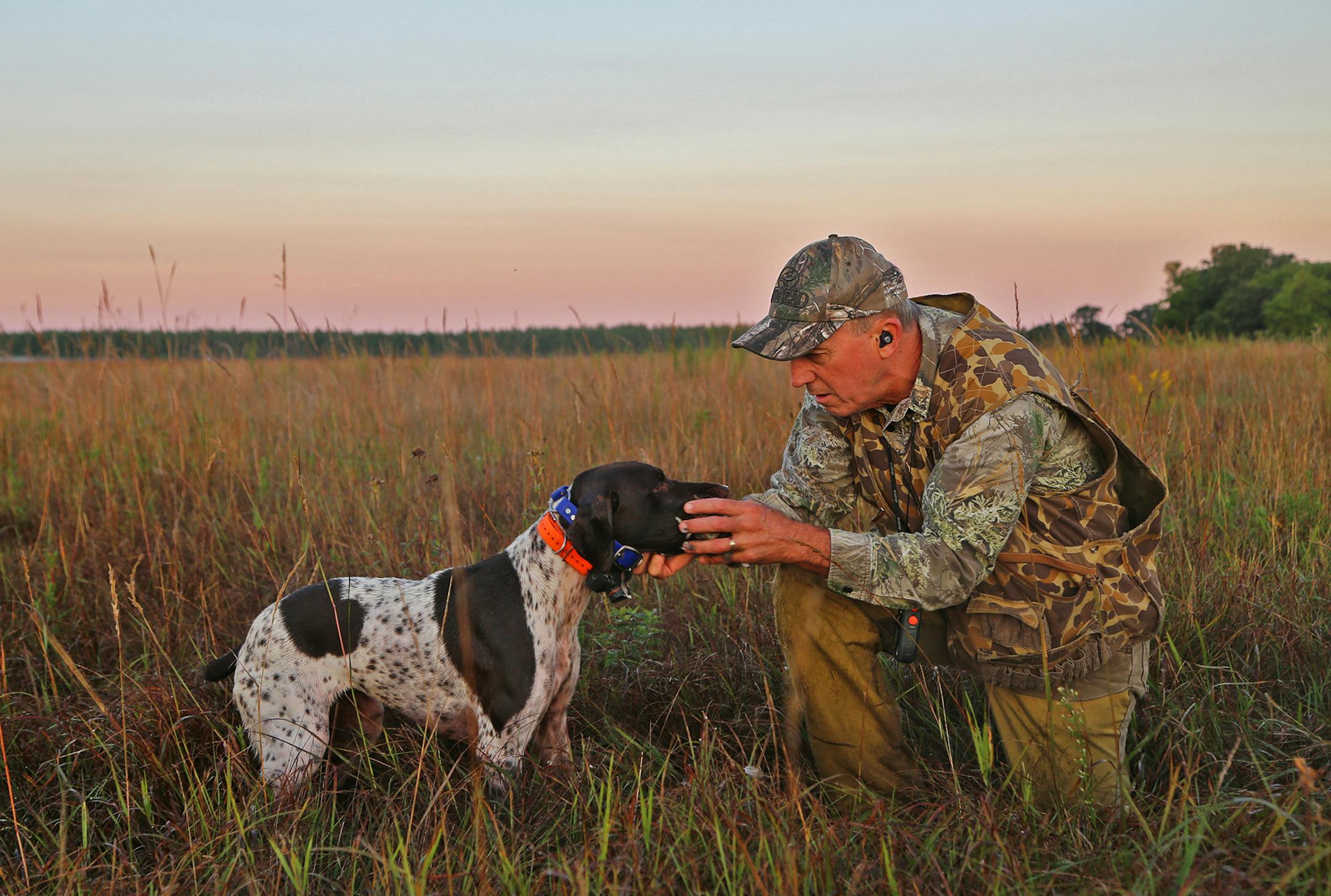 Rolf Moen of Brainerd receives a dove from his German shorthaired pointer, Sally, on the first day of the state's mourning dove season.