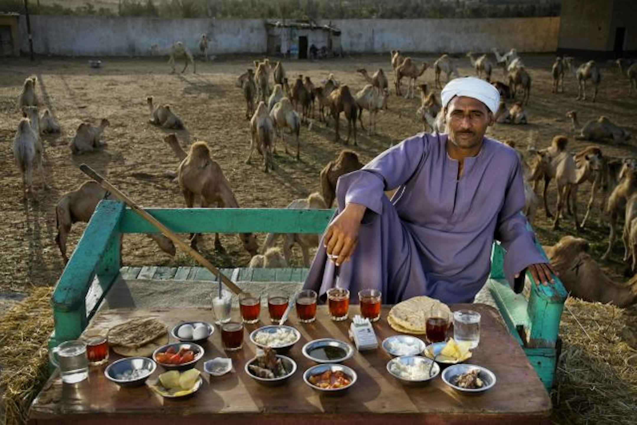 One of the people highlighted in "What I Eat: Around the World in 80 Diets" is camel broker Saleh Abdul Fadlallah, with his day's worth of food at the Birqash Camel Market outside Cairo, Egypt.