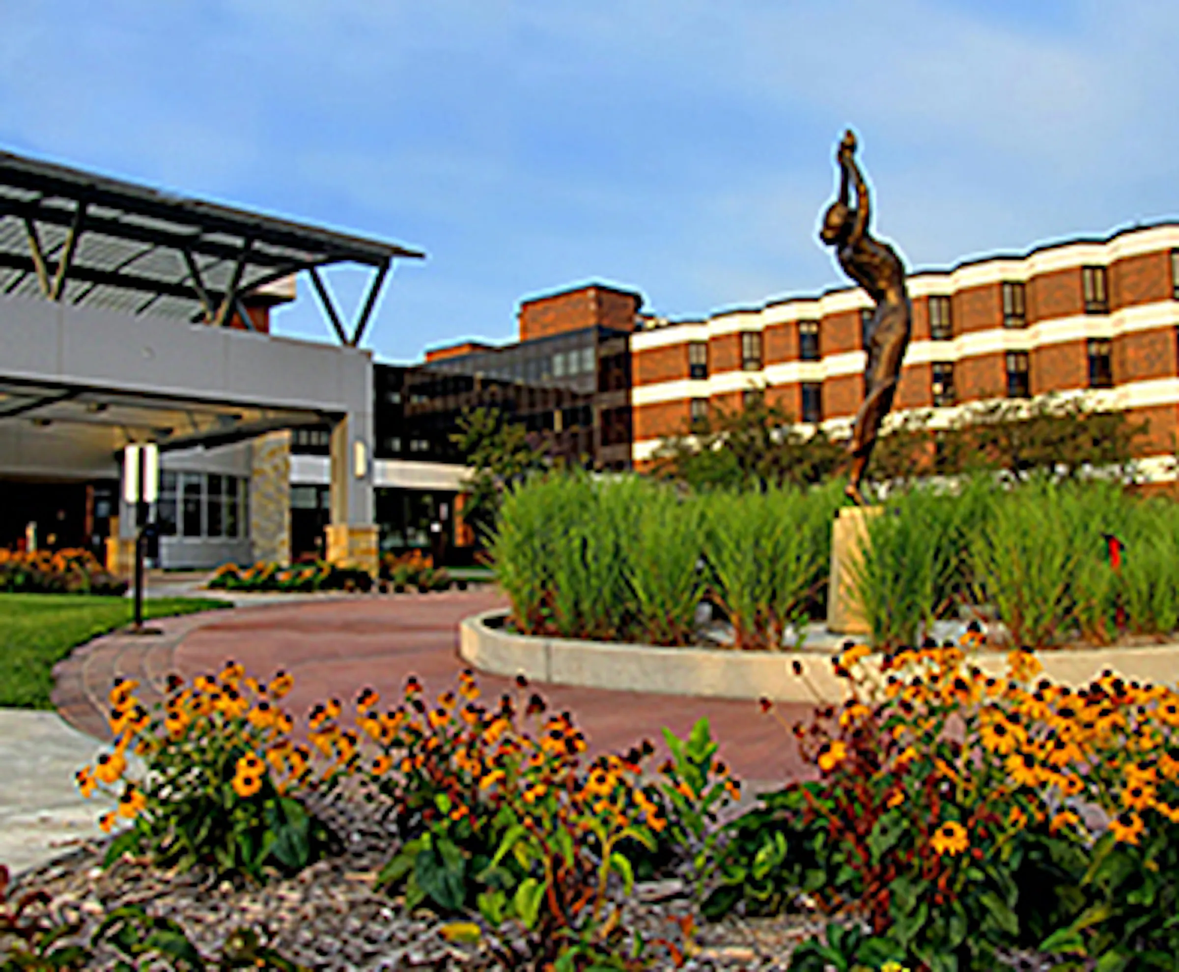 A local campaign for Unity Hospital board carries echoes of the Twin ...