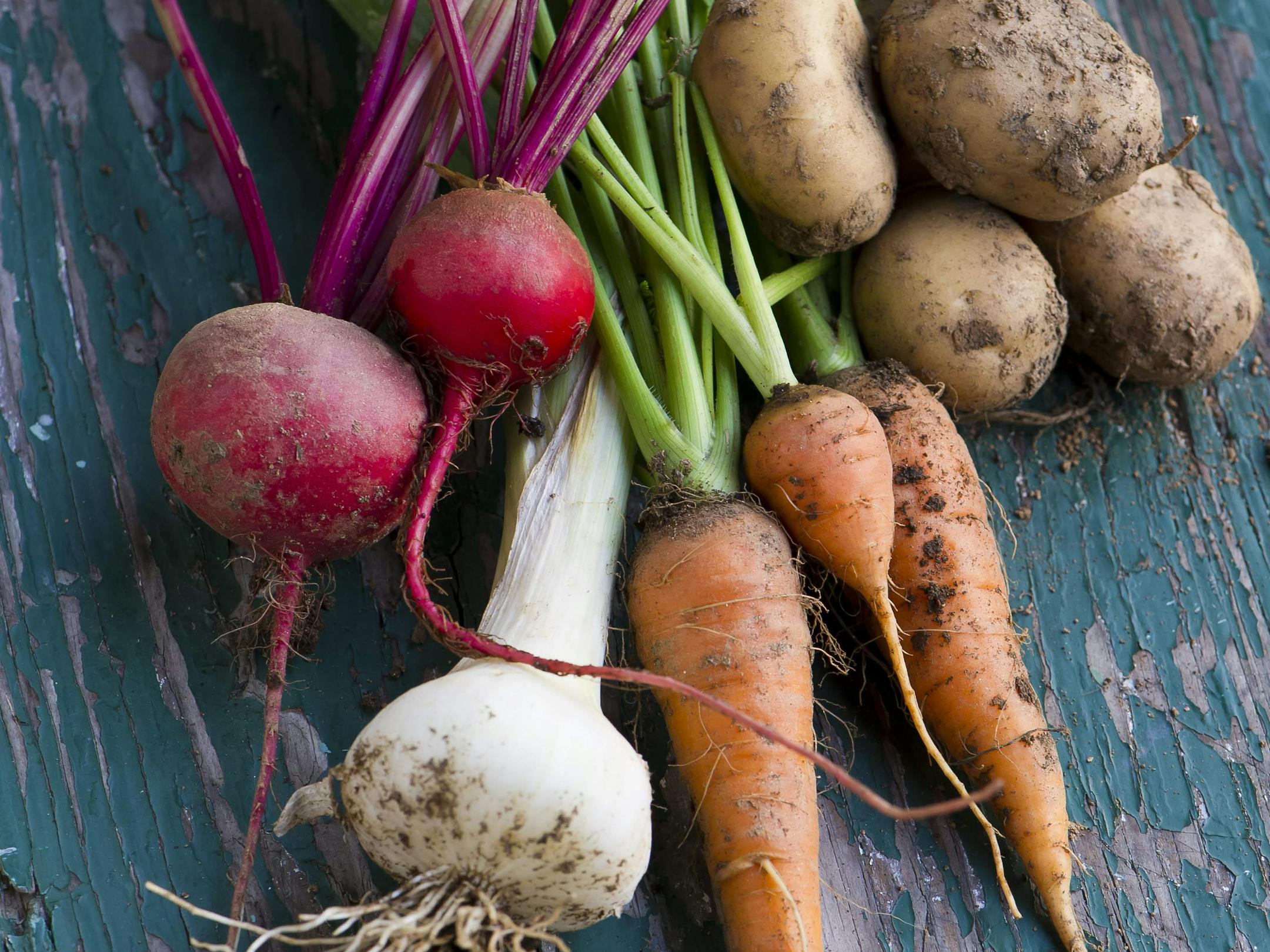 From left: beets, Cipollini onions, carrots and potatoes. Some root vegetables are best harvested when the ground is wet, others when it's dry.
