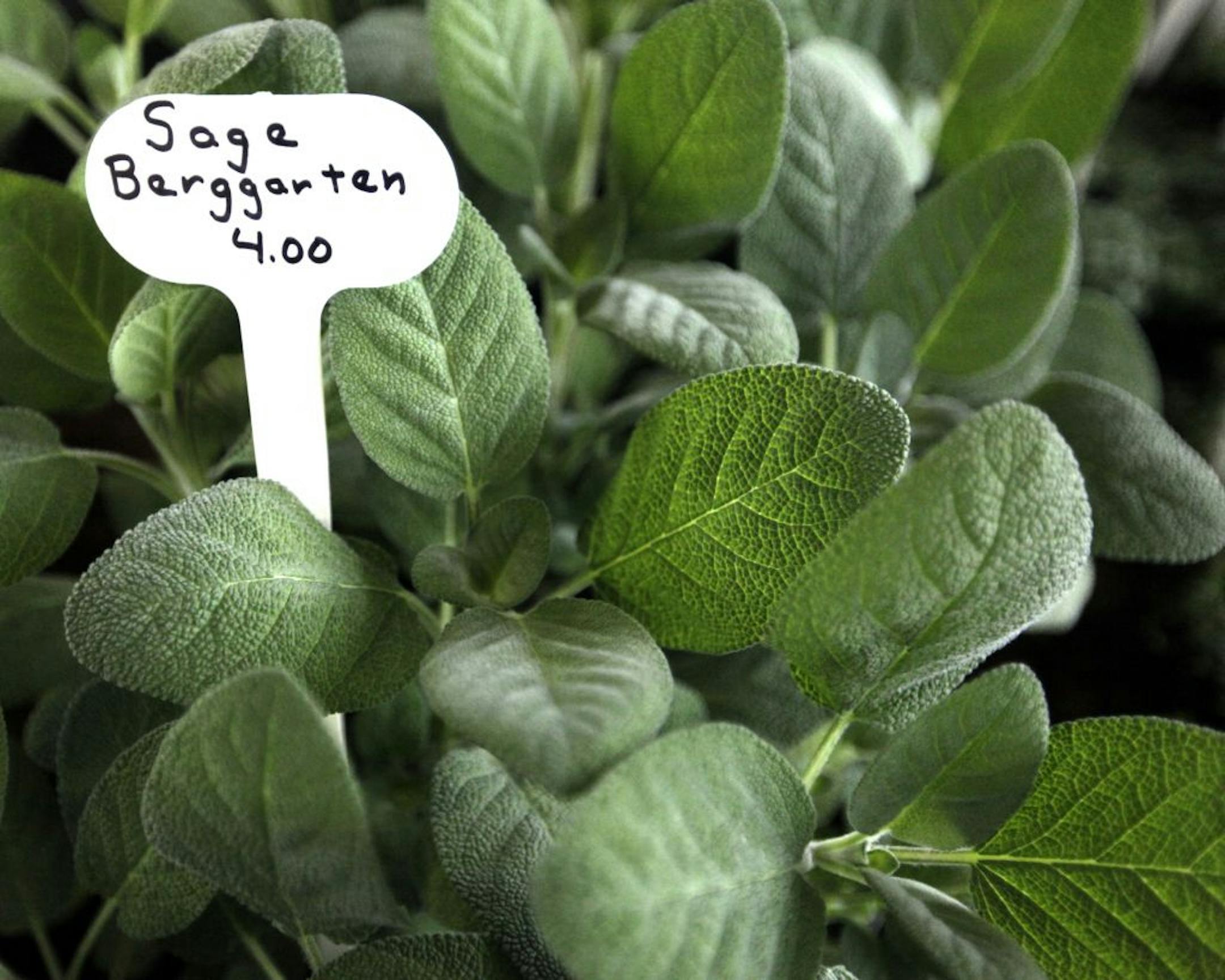 It's the start of farmers market season.