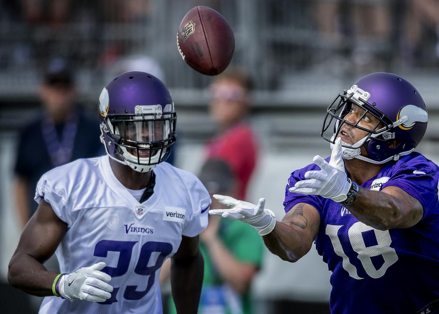 Minnesota Vikings Michael Floyd.