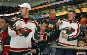 Wild Ducks Hockey
