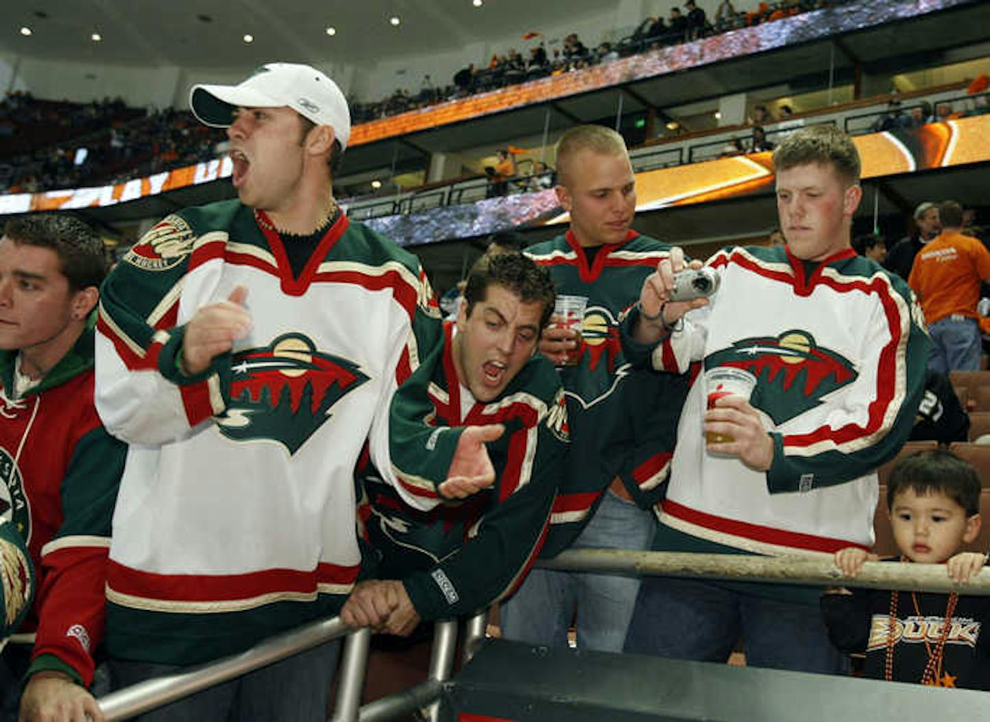 Wild Ducks Hockey