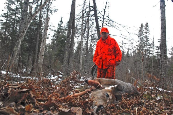 Dick Anderson of Eveleth, Minn., prepares to pull a doe from the woods that he shot on Saturday.