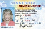 Sample Minnesota driver's license.