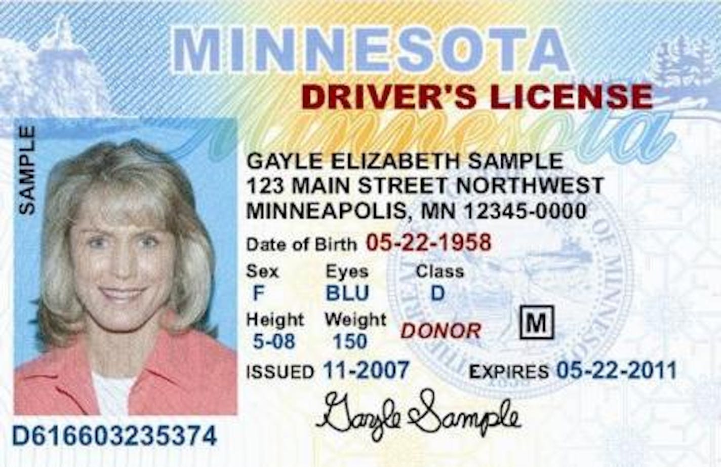 Sample Minnesota driver's license.