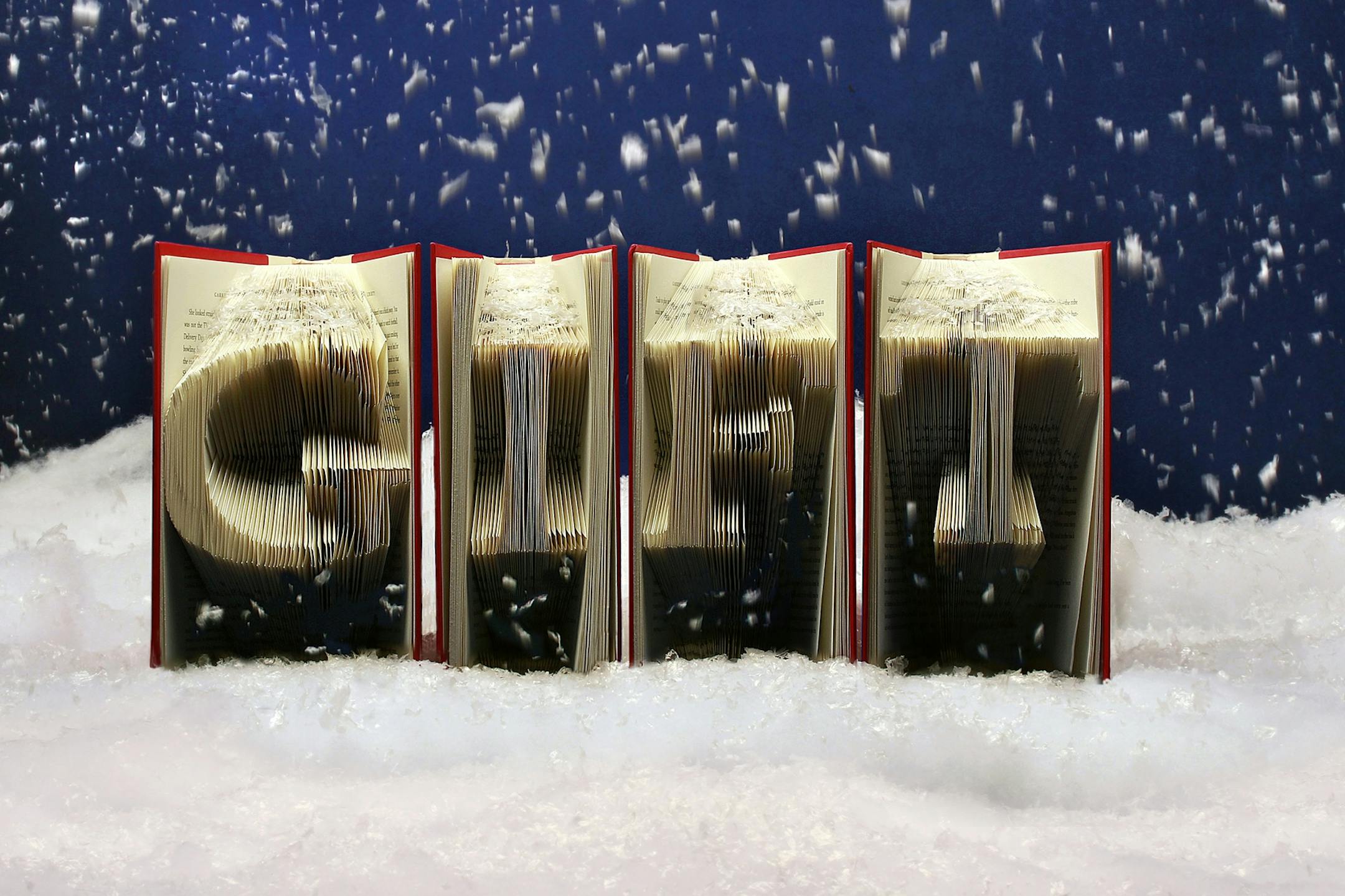 Holiday books: Star Tribune photo illustration. Book art by Jamie Tesch, HappyLittleGifts.com