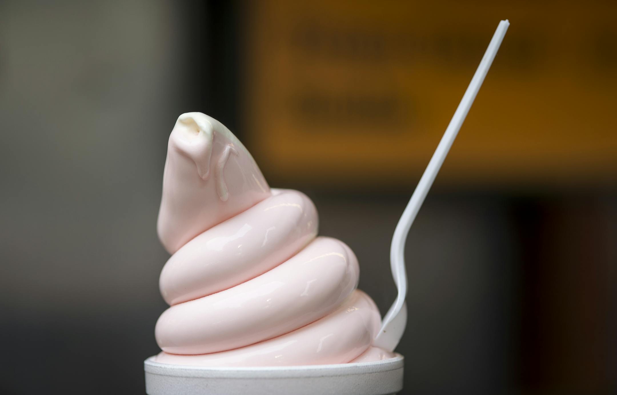 Vanilla frozen custard from Custard&#x2019;s Last Stand at the Minnesota State Fair.