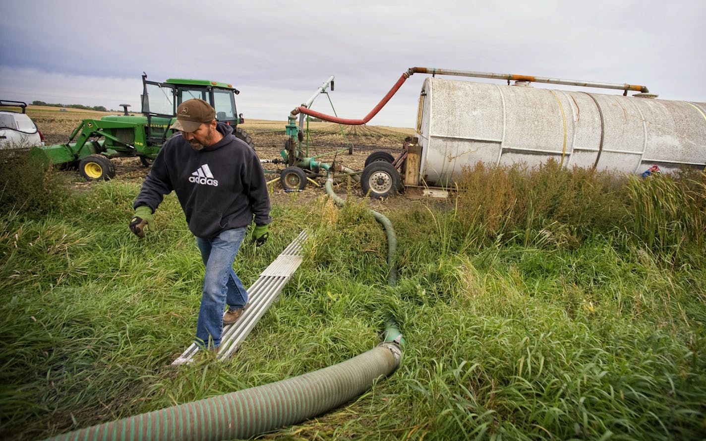 GLEN STUBBE &#x2022; gstubbe@startribune.com -- Redwood Falls, Minn. -- Wednesday, September 22, 2010 -- ] Hog manure is spread over grain fields near Redwood Falls for fertilizer. Rick Serbus headed toward his tanker truck for another load.