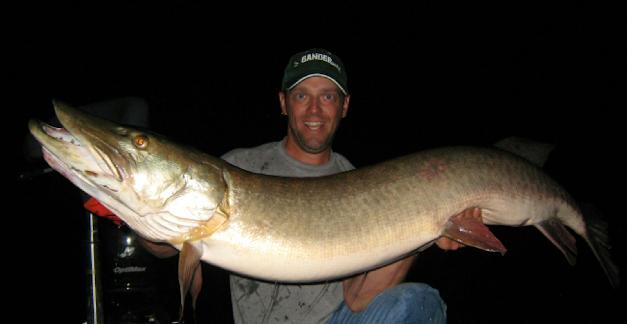 Josh Borovsky of Crystal, a muskie-fishing guide, caught this 56-inch monster muskie on Lake Vermilion last weekend. "It's probably the biggest one I'll ever catch in my life,'' he said. He's not sure how much the fish weighed. "I wish I had measured its girth, but I was too excited,'' he said. He released the fish.