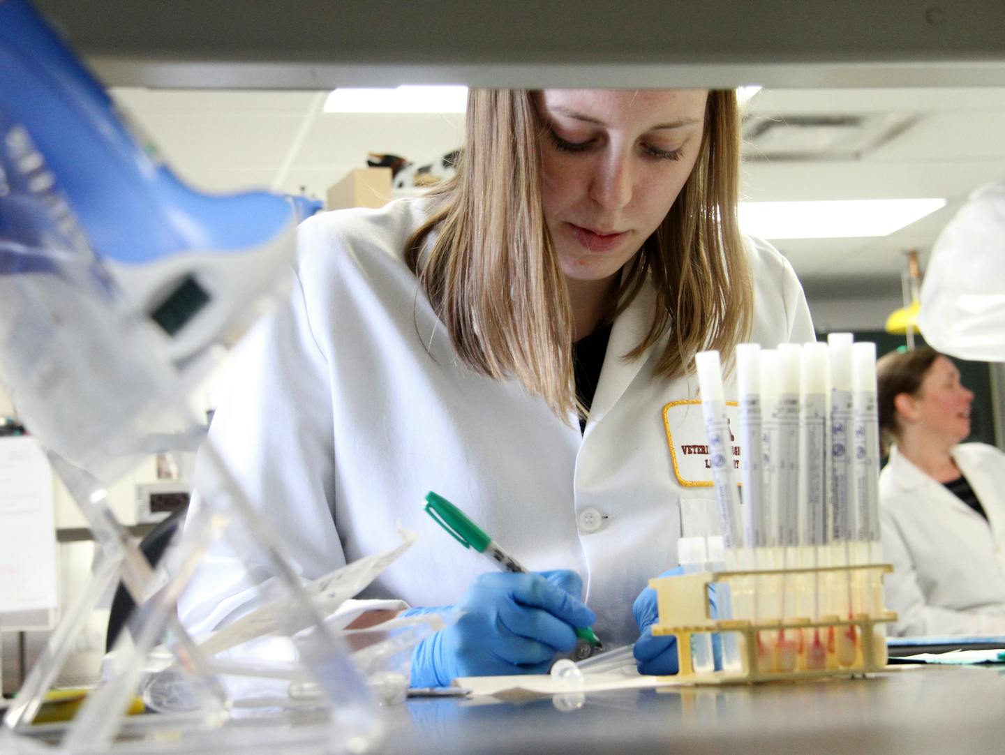 Amanda Falkstein, junior scientist, set up a few sample tubes at the University of Minnesota&#xed;s Veterinary Diagnostics Laboratory in St. Paul, Minn., on Wednesday, April 8, 2015, in the same process used to test for avian influenza. Federal authorities have confirmed that a ninth Minnesota turkey farm has been hit by a form of bird flu that's deadly to poultry. The outbreak is on a large Jennie-O-Turkey Store operation in central Minnesota that has 310,000 turkeys. Jennie-O, a division of Ho